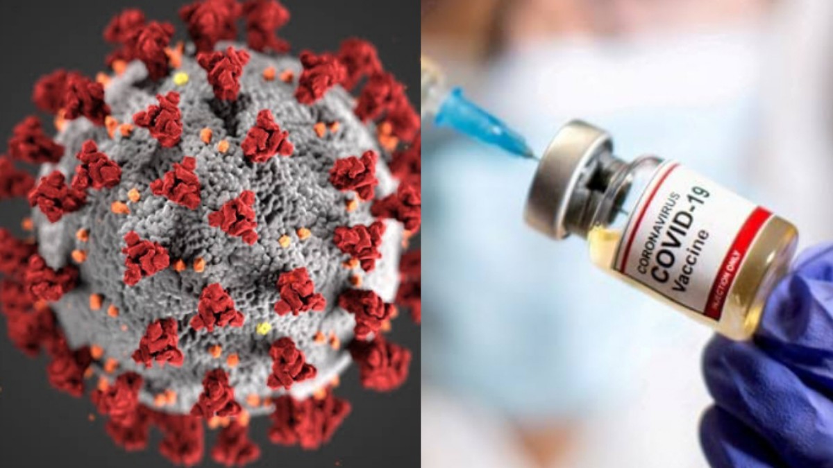 COVID patients are increasingly experiencing hair loss Dizzybabies