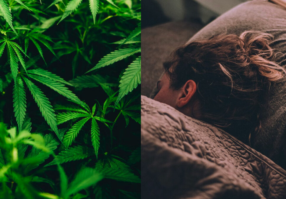 Cannabis and Sleep