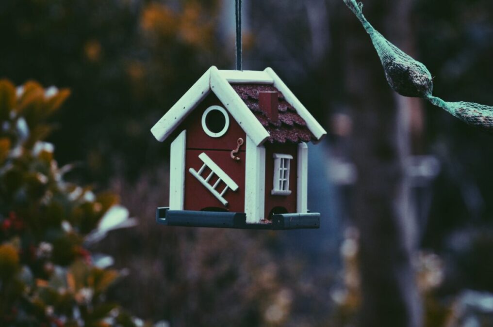 What Portion of Your Income Should You Spend on Rent 2 What Portion of Your Income Should You Spend on Rent-Harper van Mourik-https:::unsplash.com:photos:closeup-photo-of-red-and-white-bird-house-0yfWDwHOB0g