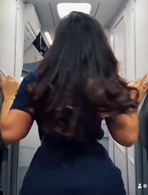 Video: Alaska Flight Attendant Twerking On Plane & Fired Opens GoFundMe But Gets $261